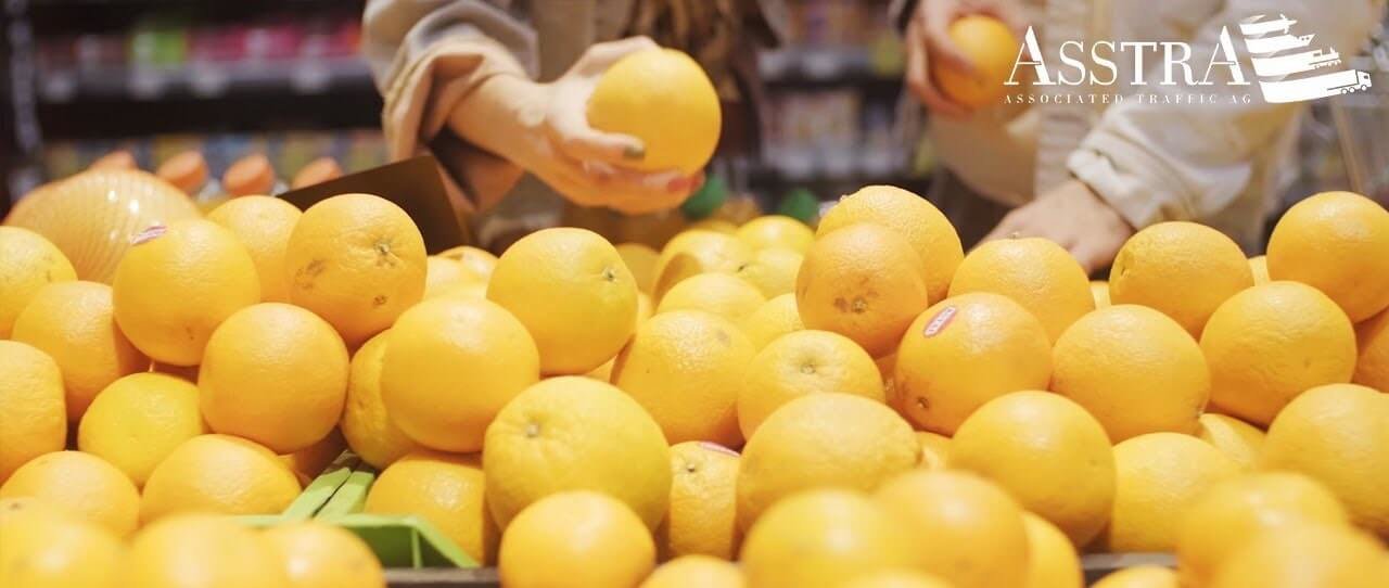 Food Products on the Gastronomic Shelves of Stores