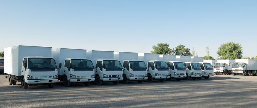 Coldiretti severa con la logistica italiana