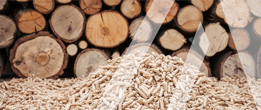 Pellet di legno e legname